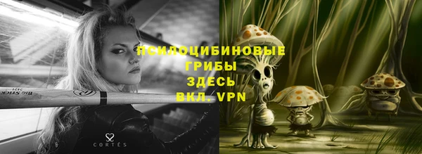 стафф Нея