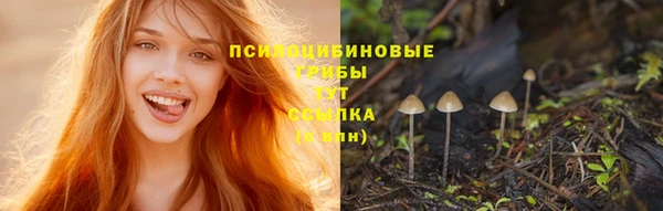 трава Алексеевка