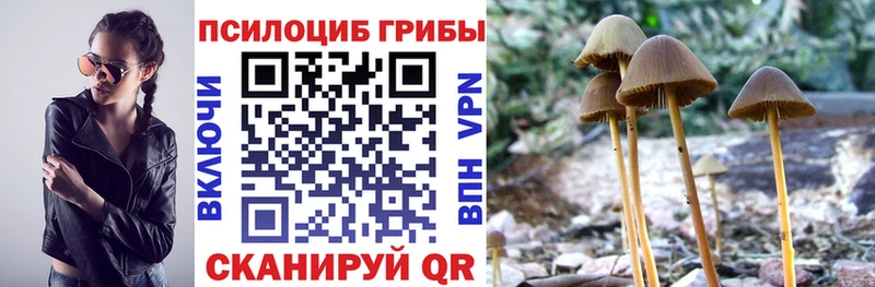 где можно купить   Игра  Галлюциногенные грибы прущие грибы 